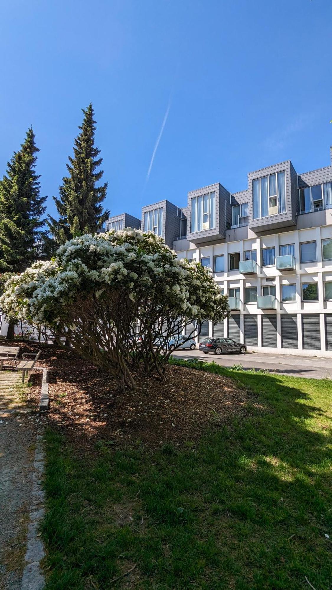 Kjekk Urban Leilighet